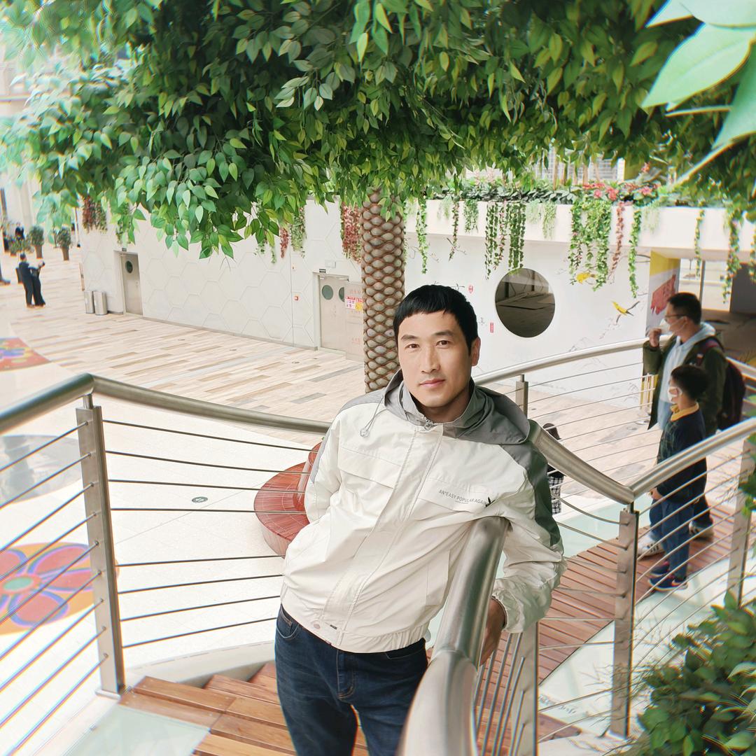 南柯一梦