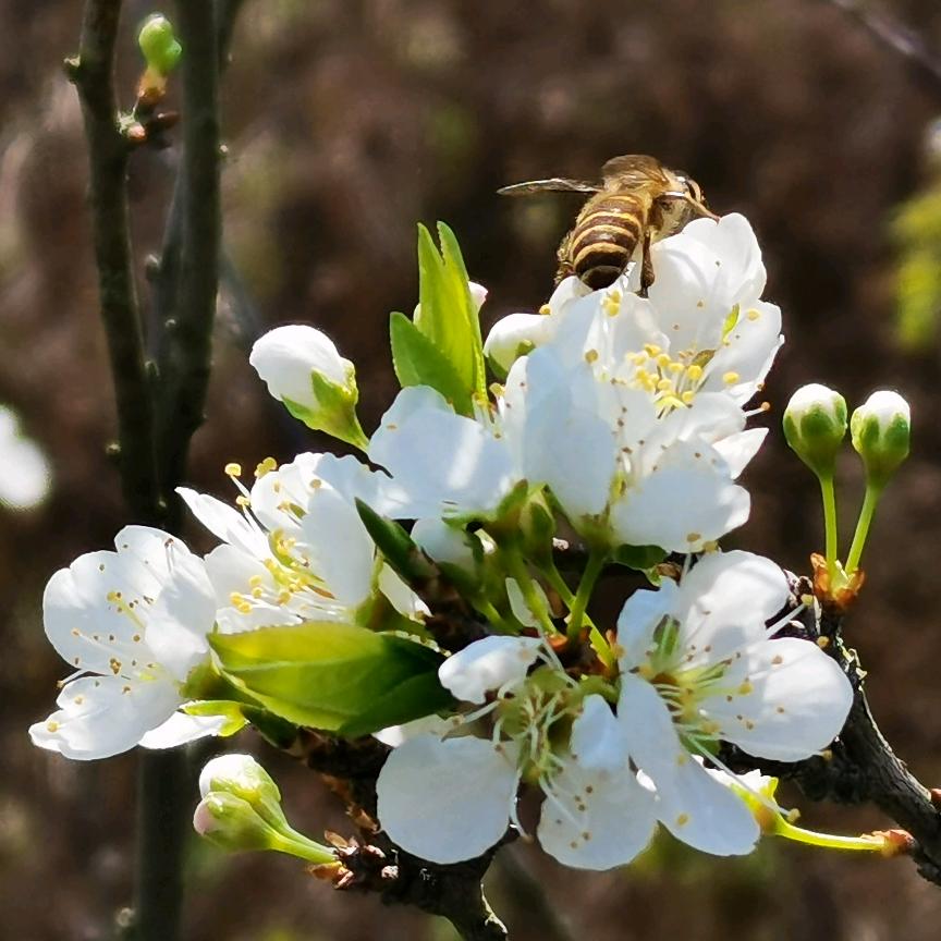 @大飞哥的汽修生活