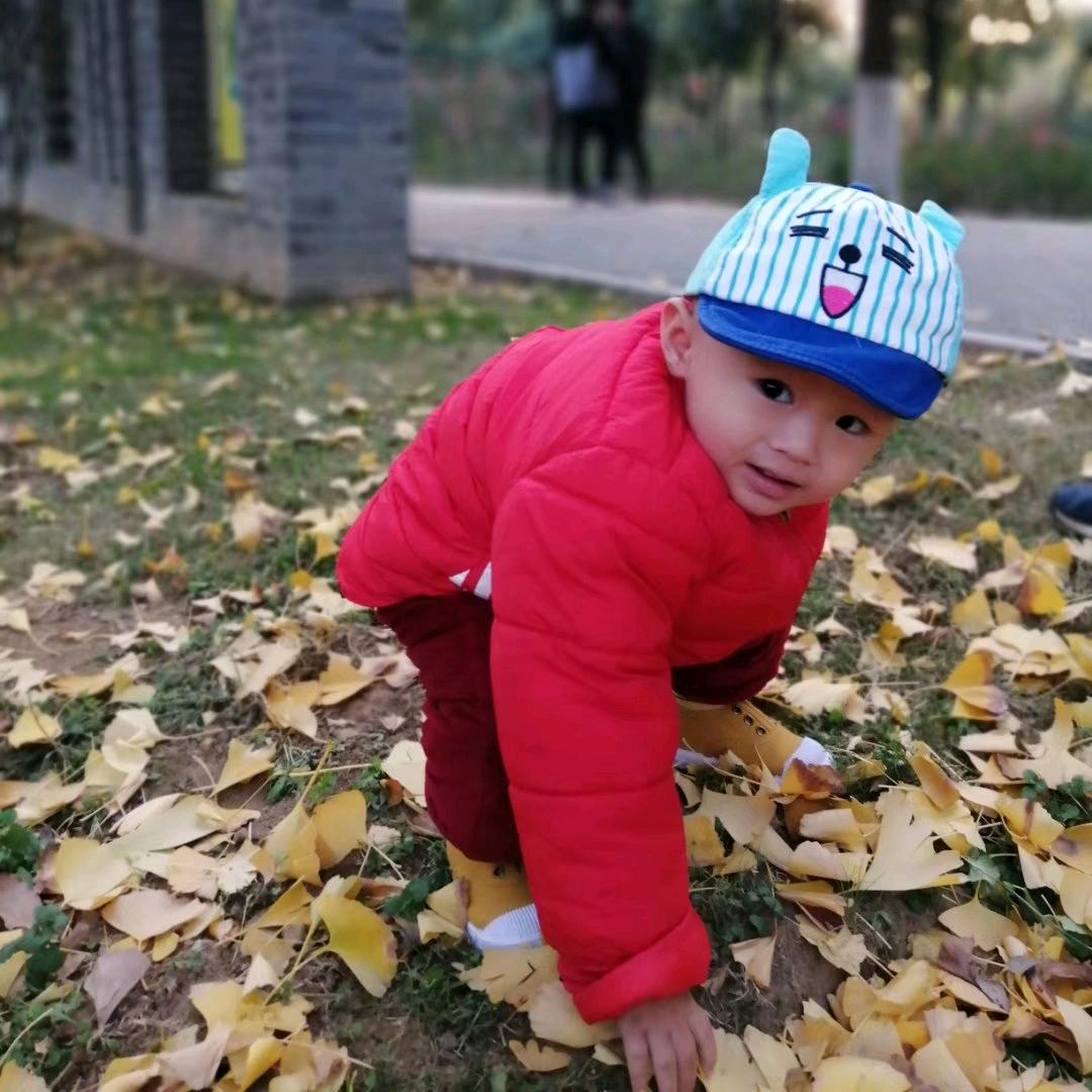 🌈🌈多肉爸爸