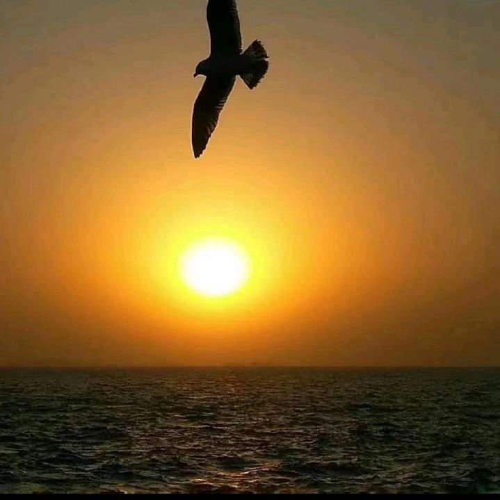 我的太阳