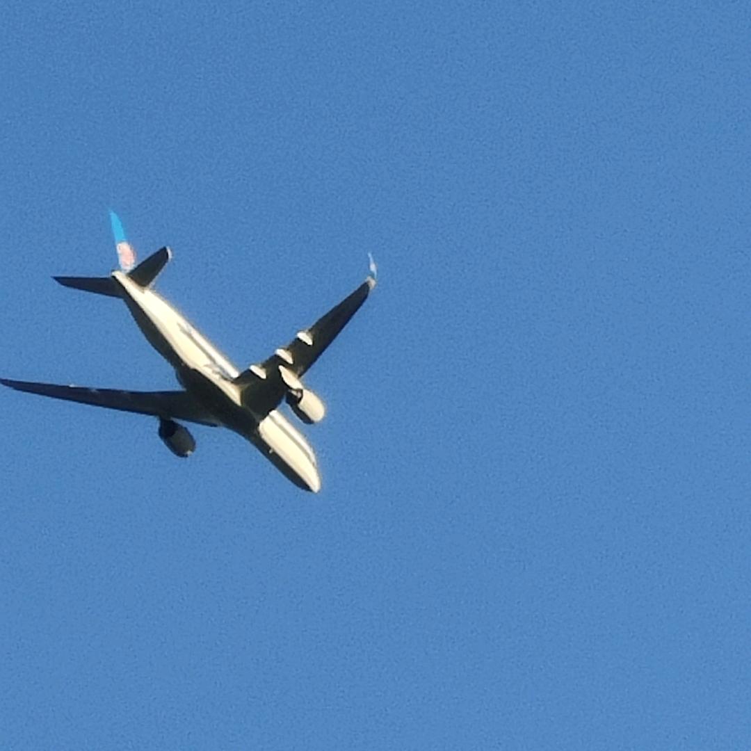 (●—●是你打的电话