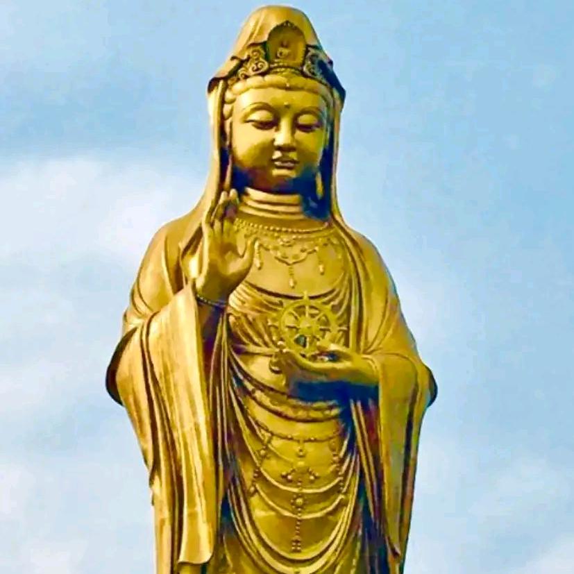 随缘人-