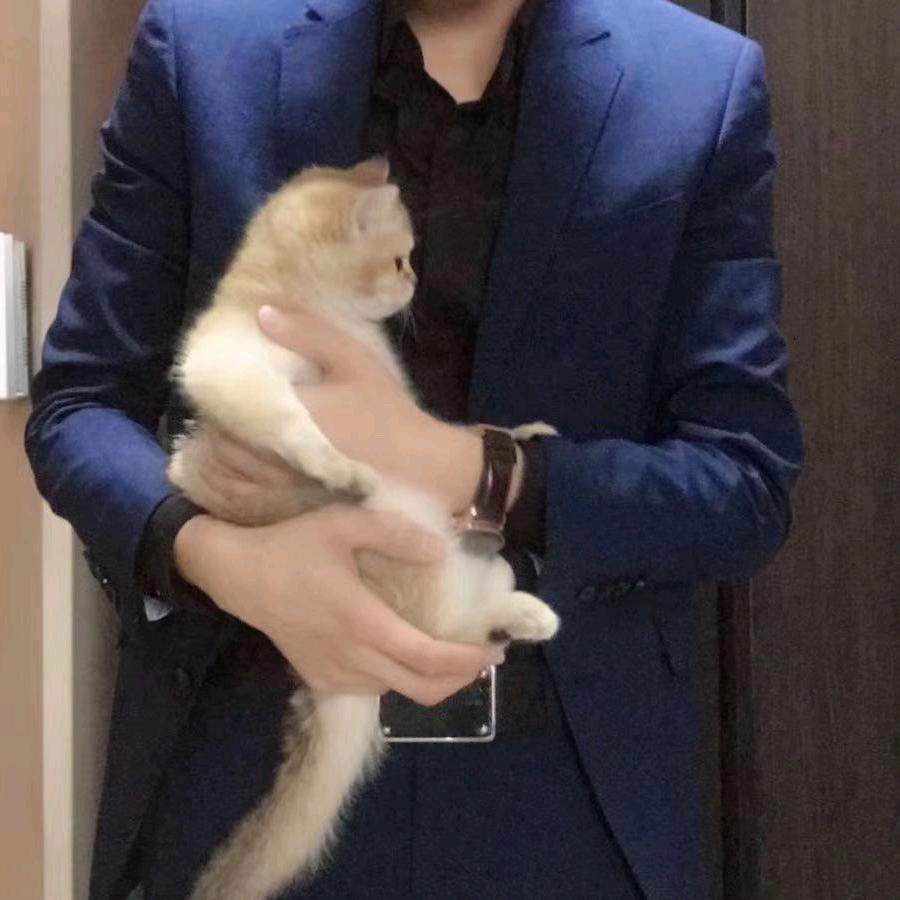 沈律师丨在沈阳