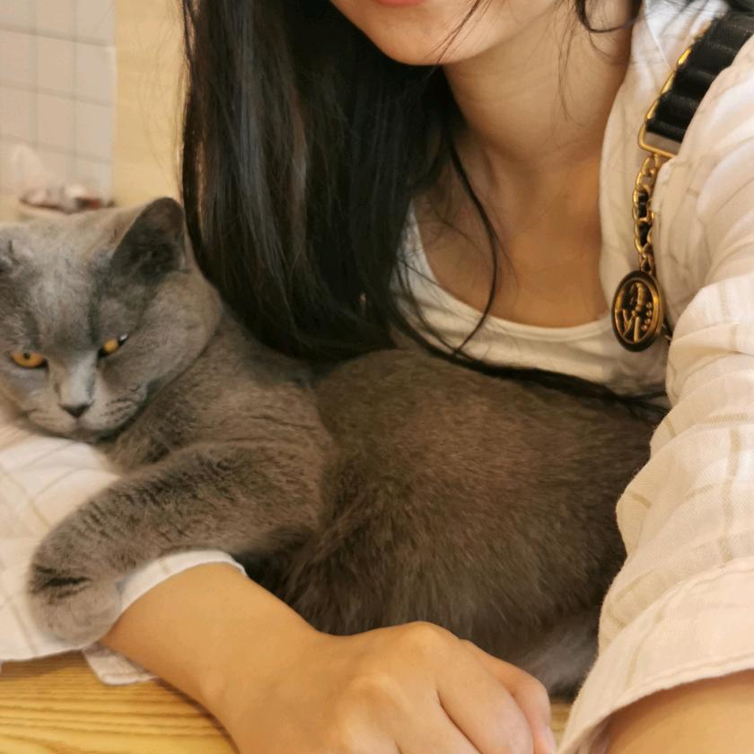 米老鼠🐭