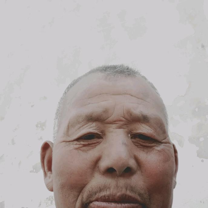 刘金玉