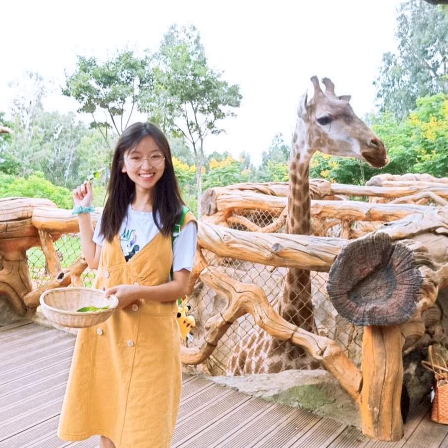 蚂蚁🐜呀嘿
