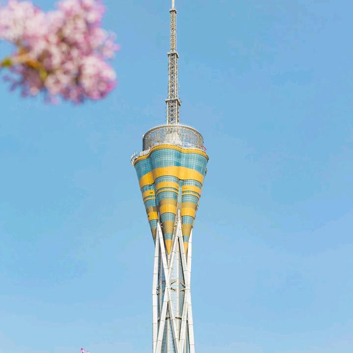 田虎