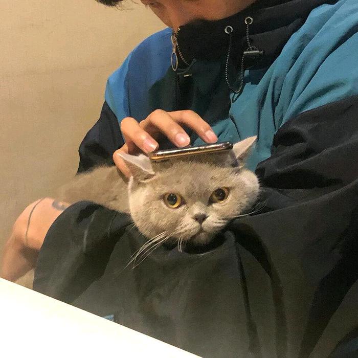 一听可乐