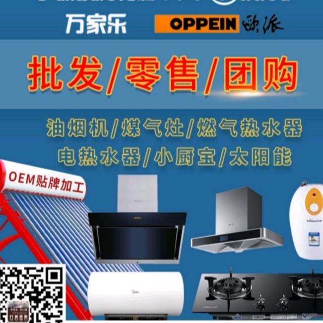 合肥市新站区荣尊电器经营部