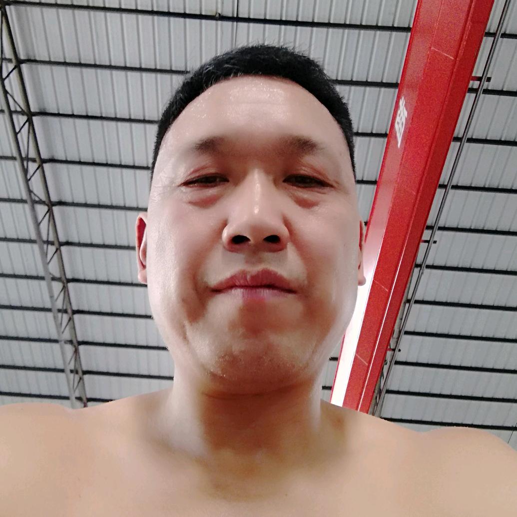 飛燕南飛