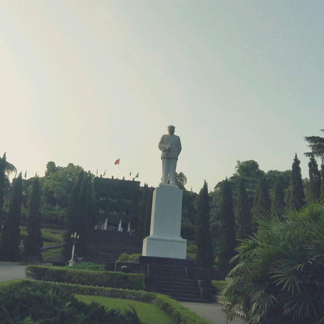 素心丫头