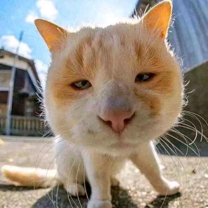 Y,