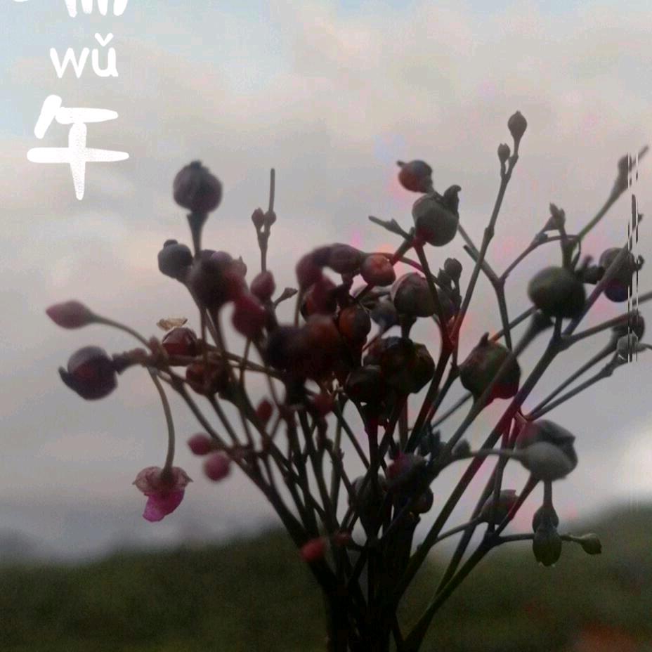 阳光
