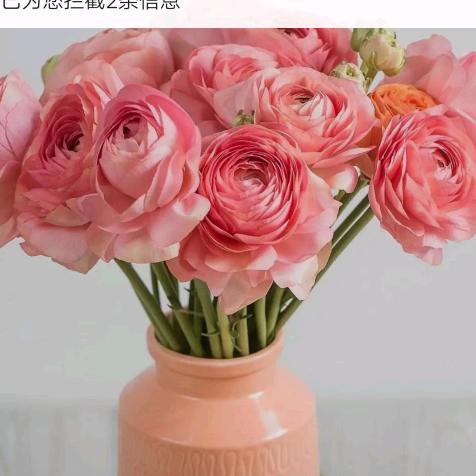 委婉的悲伤