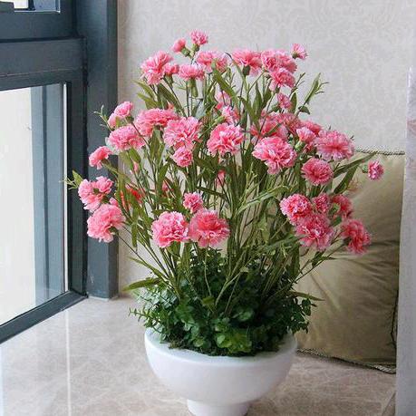闪亮的花花🌺🌸🌼