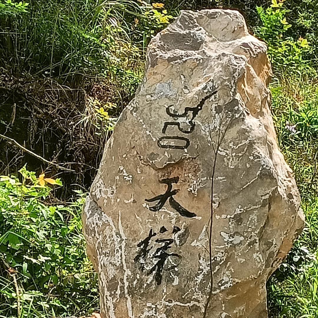 忆不起的过往