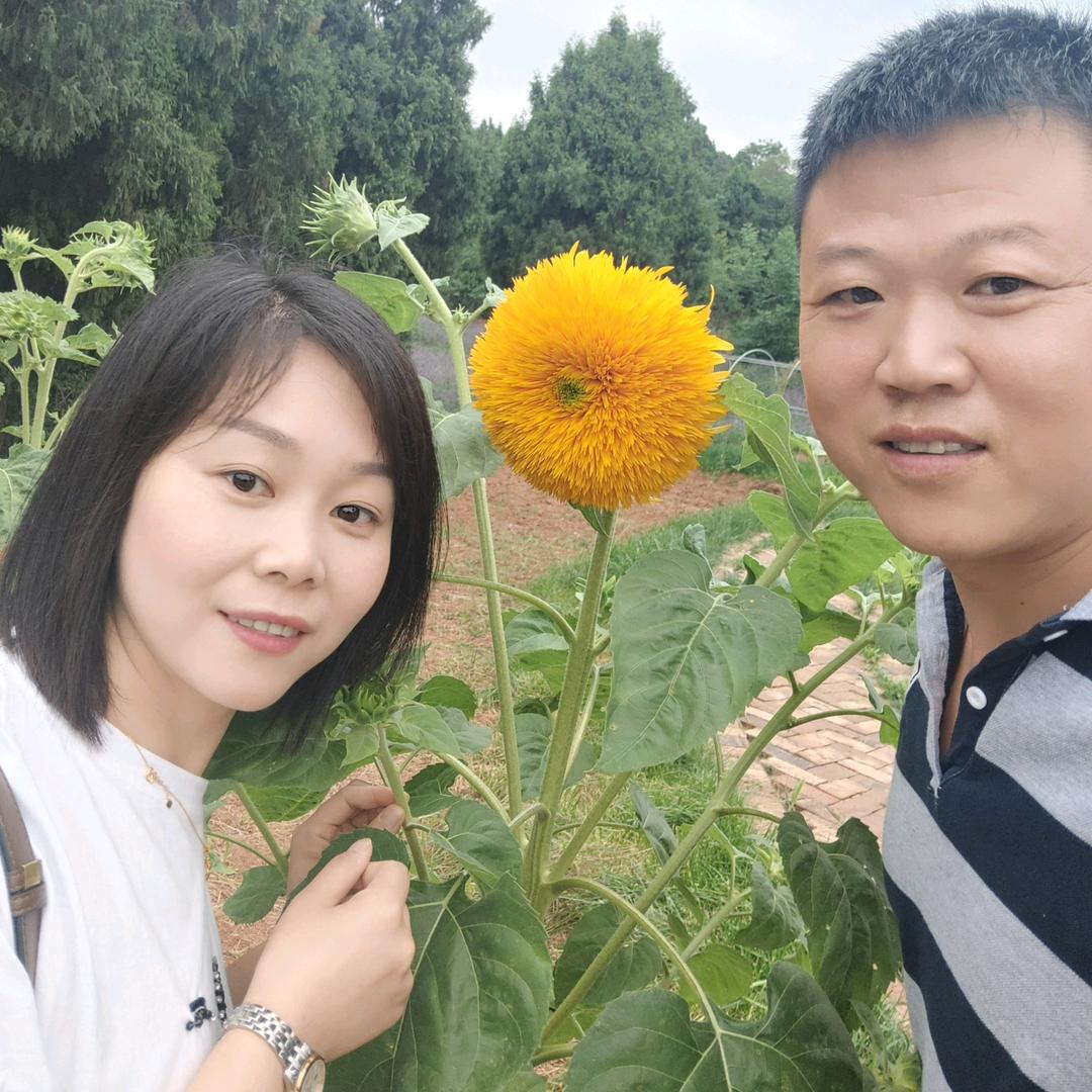中江大表哥
