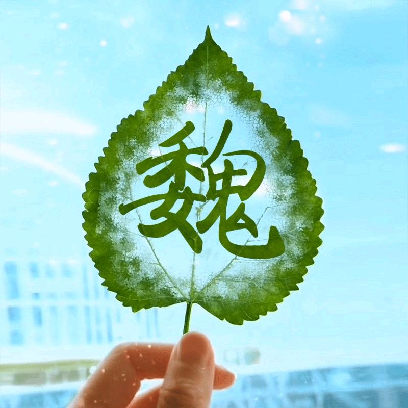 এ᭄ 等待中ꦿృ༊