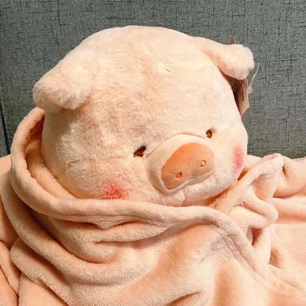 楠！晴！洋！babies