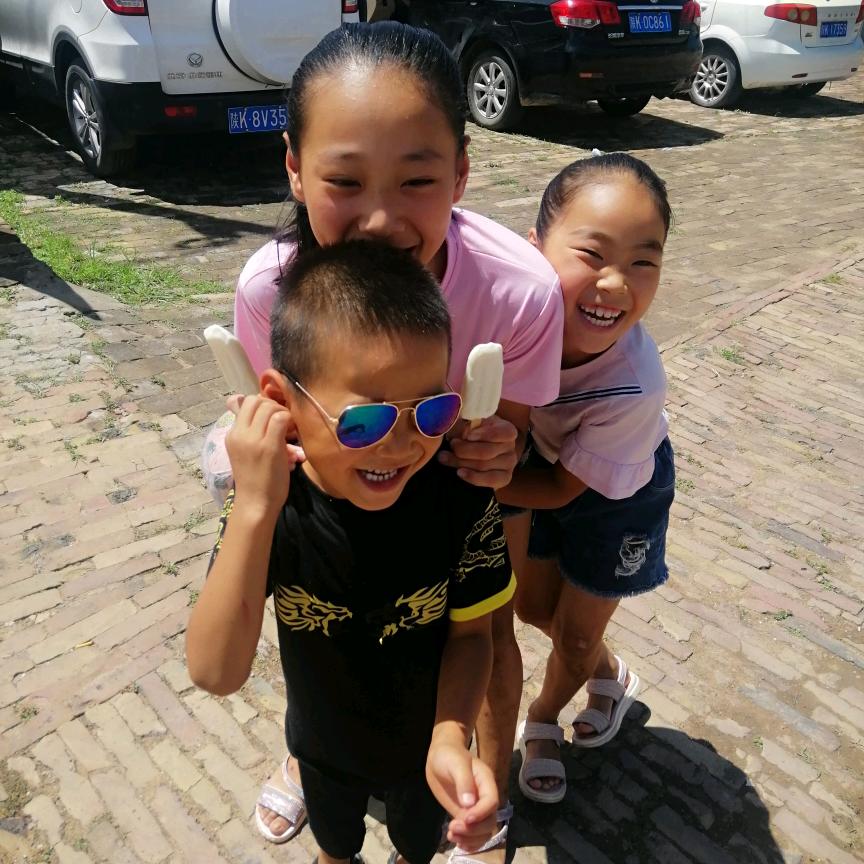 🌿 湘白茶清欢影