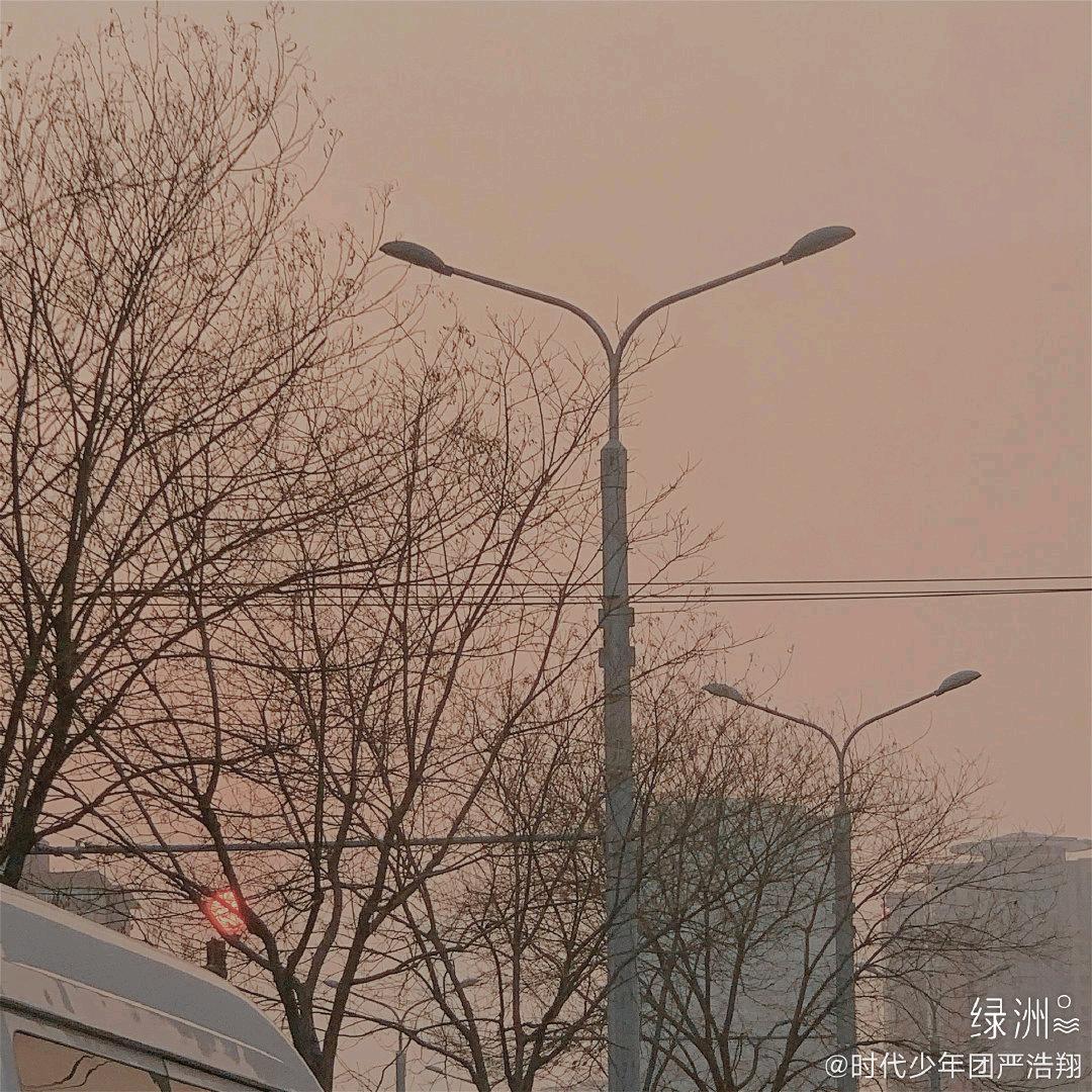 樱花园不圓_