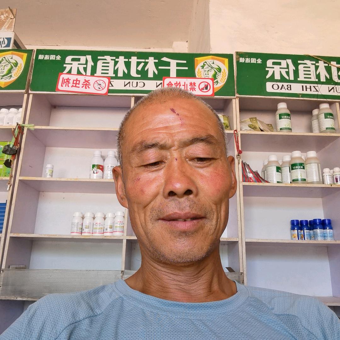 老农种草莓