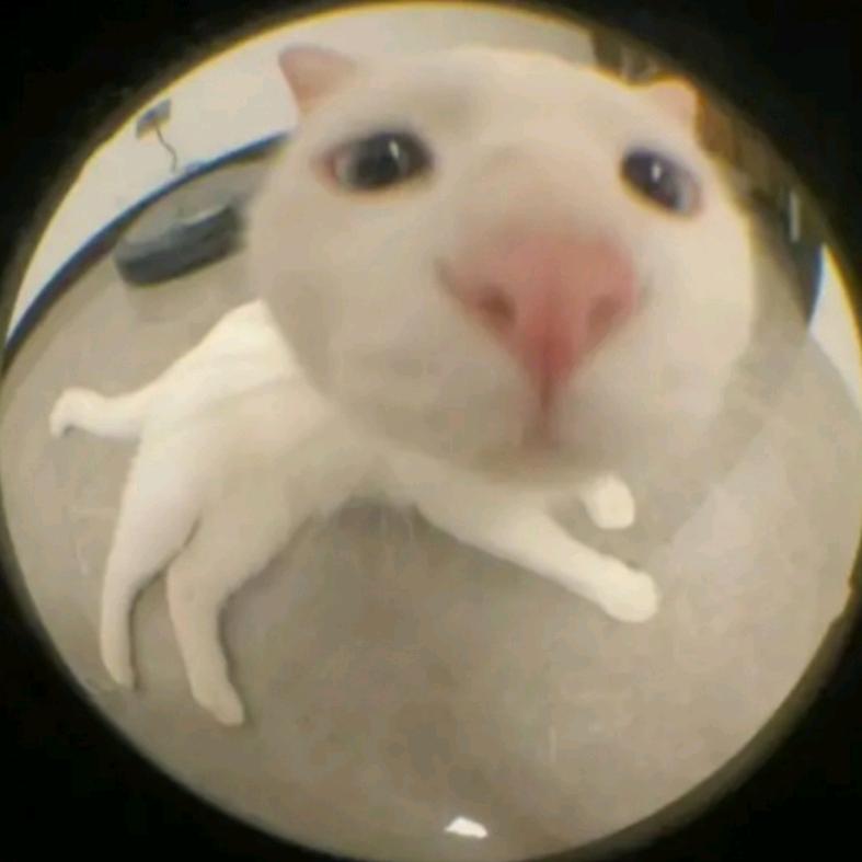 上上上上上上岸