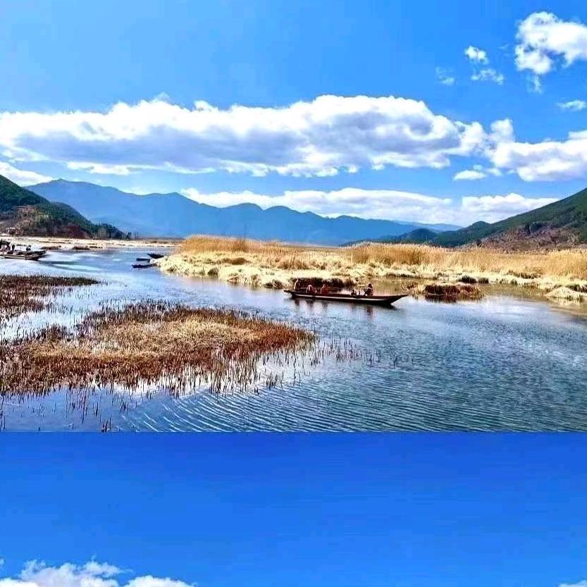 浮萍一尘埃