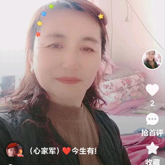 含羞草