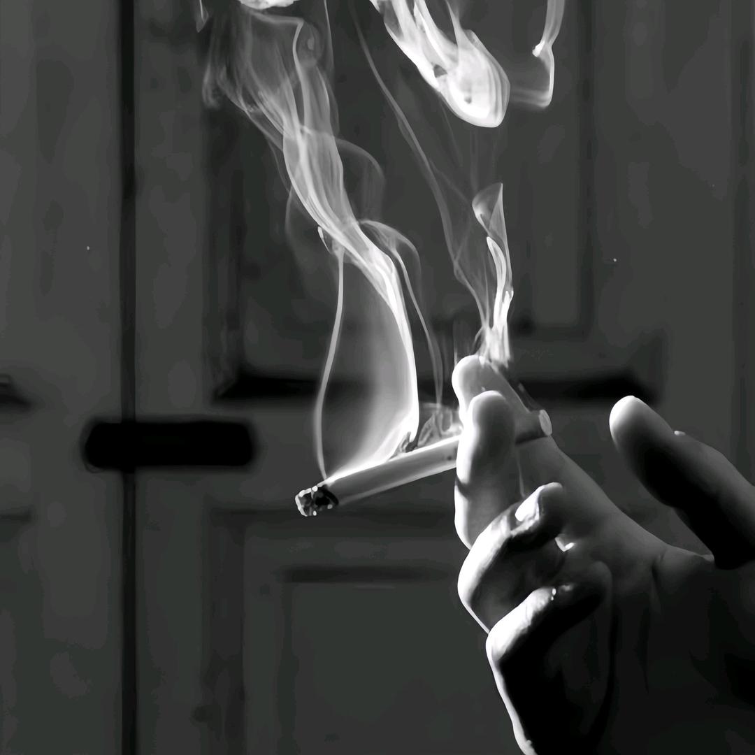 ♞無♞
