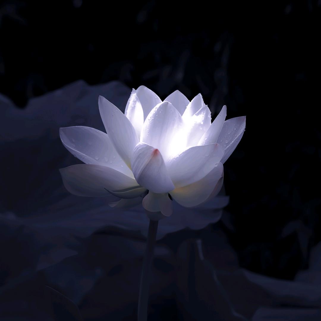 超级无敌爆龙战士无敌版头像
