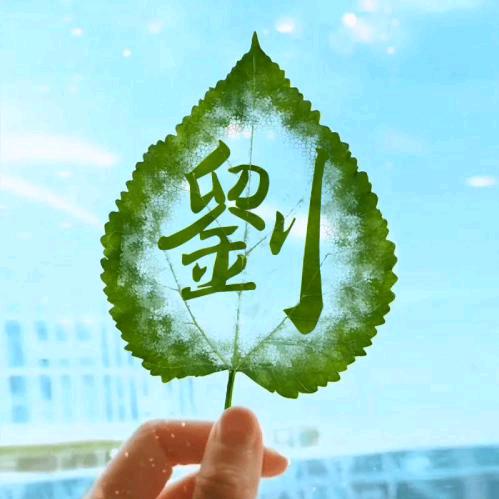 中智云网络科技