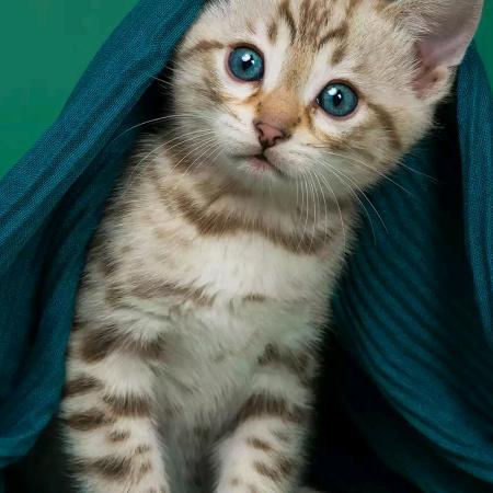 ꧁舍‖得ℒℴѵℯ¹³¹⁴꧂