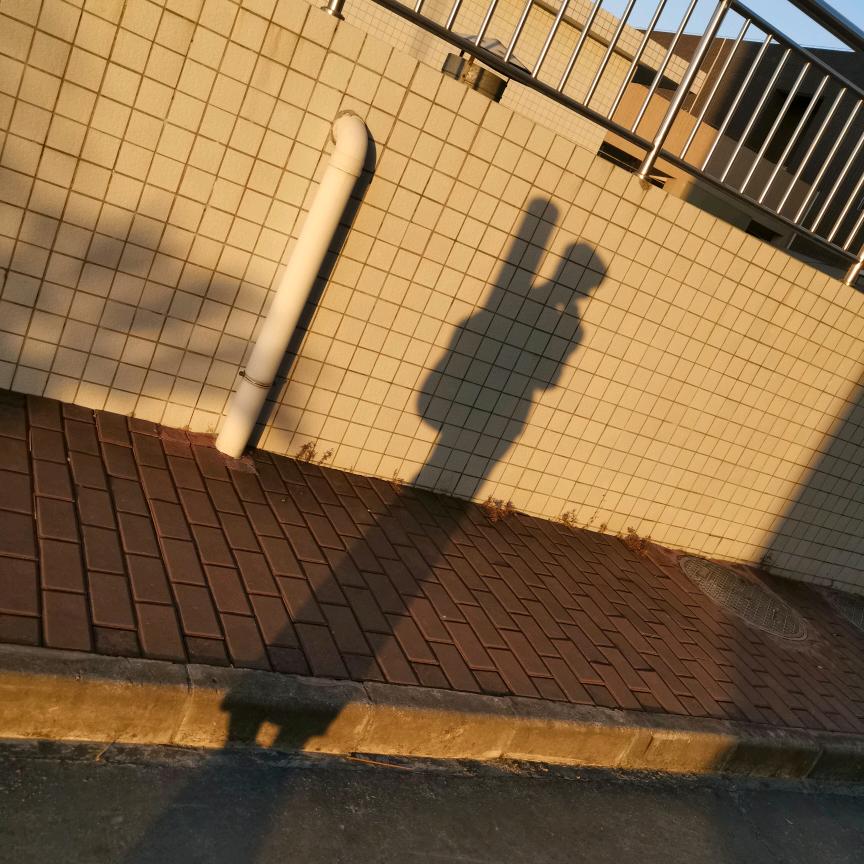 嗲子