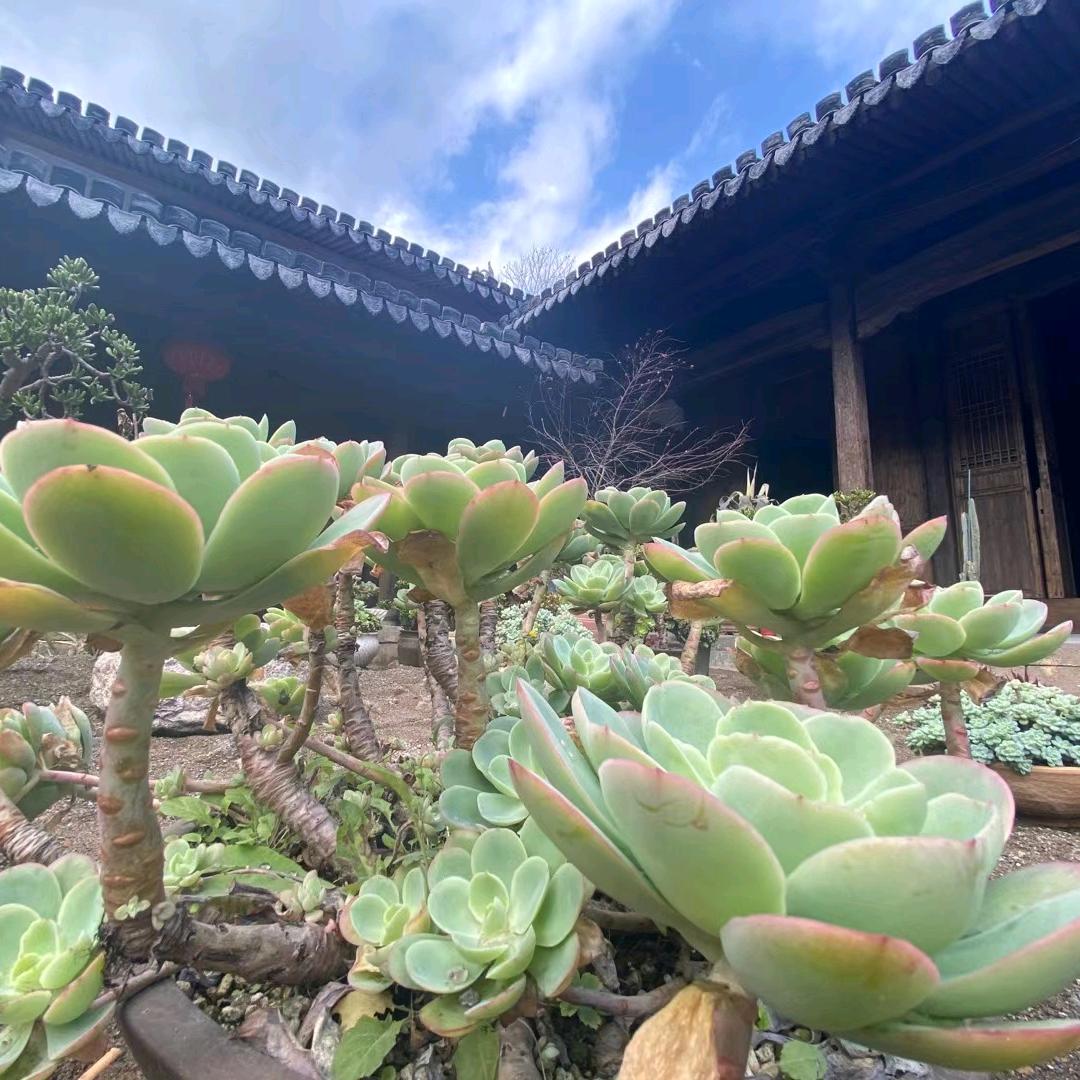 仁宏