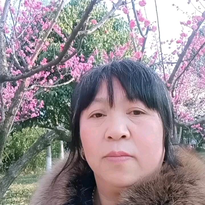 云南-田姐
