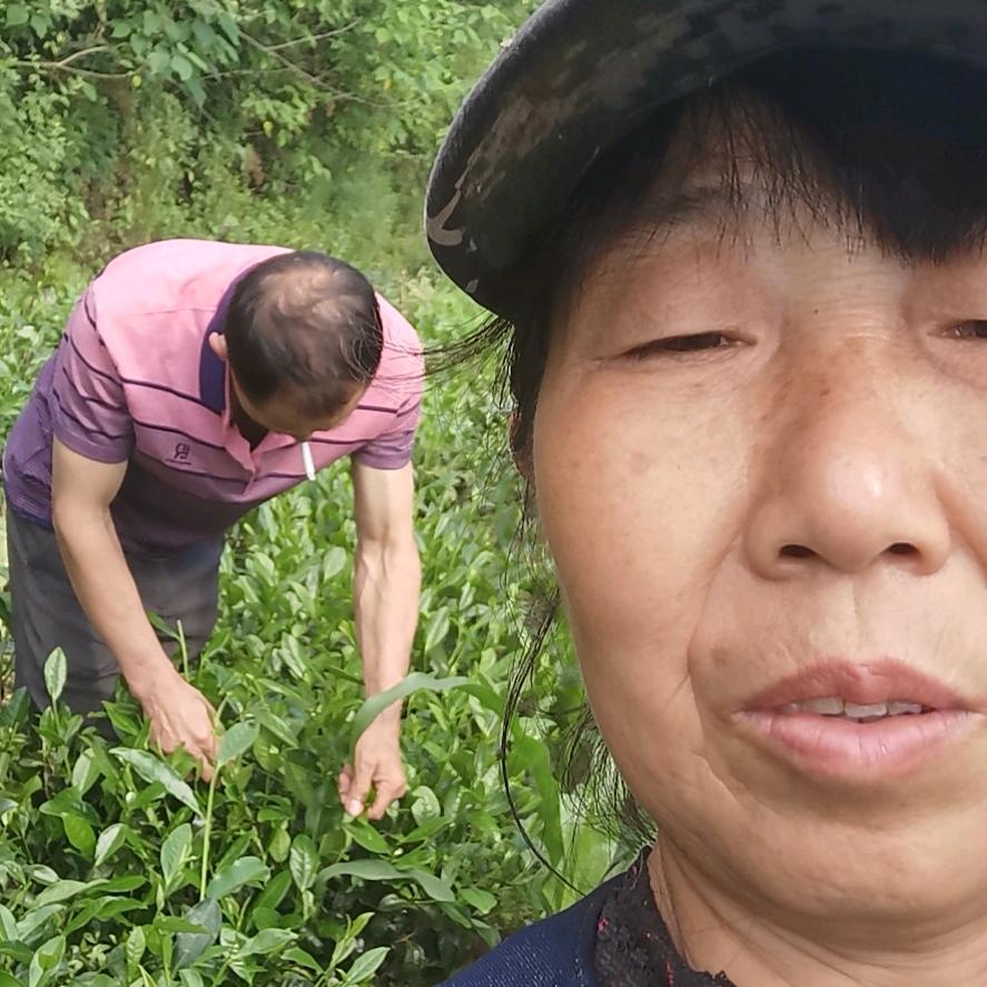 快乐的农民