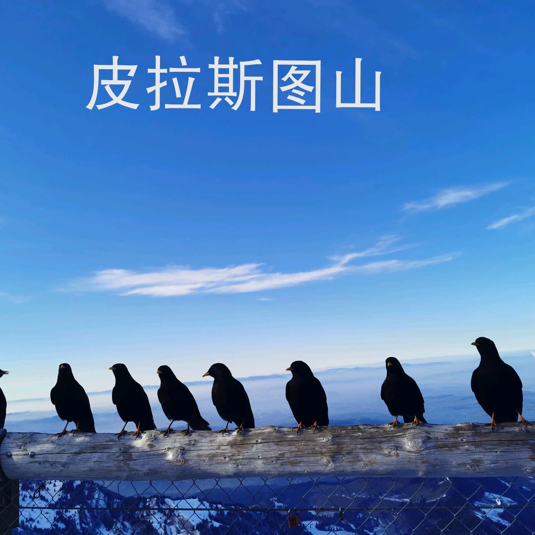 电气维保