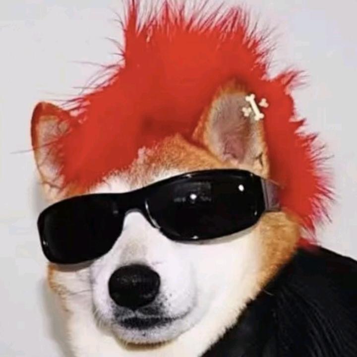 遇见~