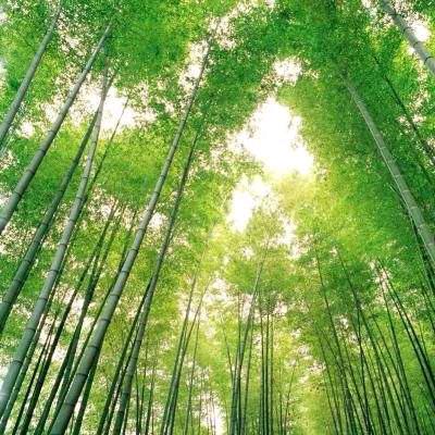 满满的回忆