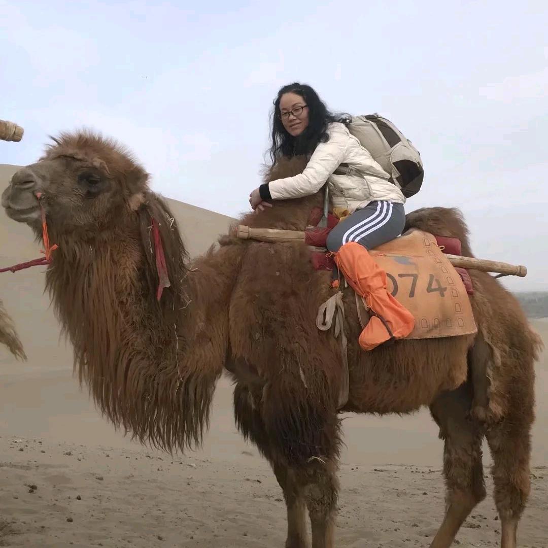 锦华国际旅行社