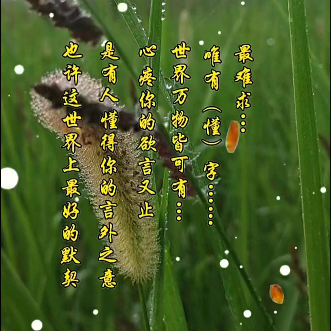 ᶫᵒᵛᵉᵧₒᵤ 💕十年如一梦💘