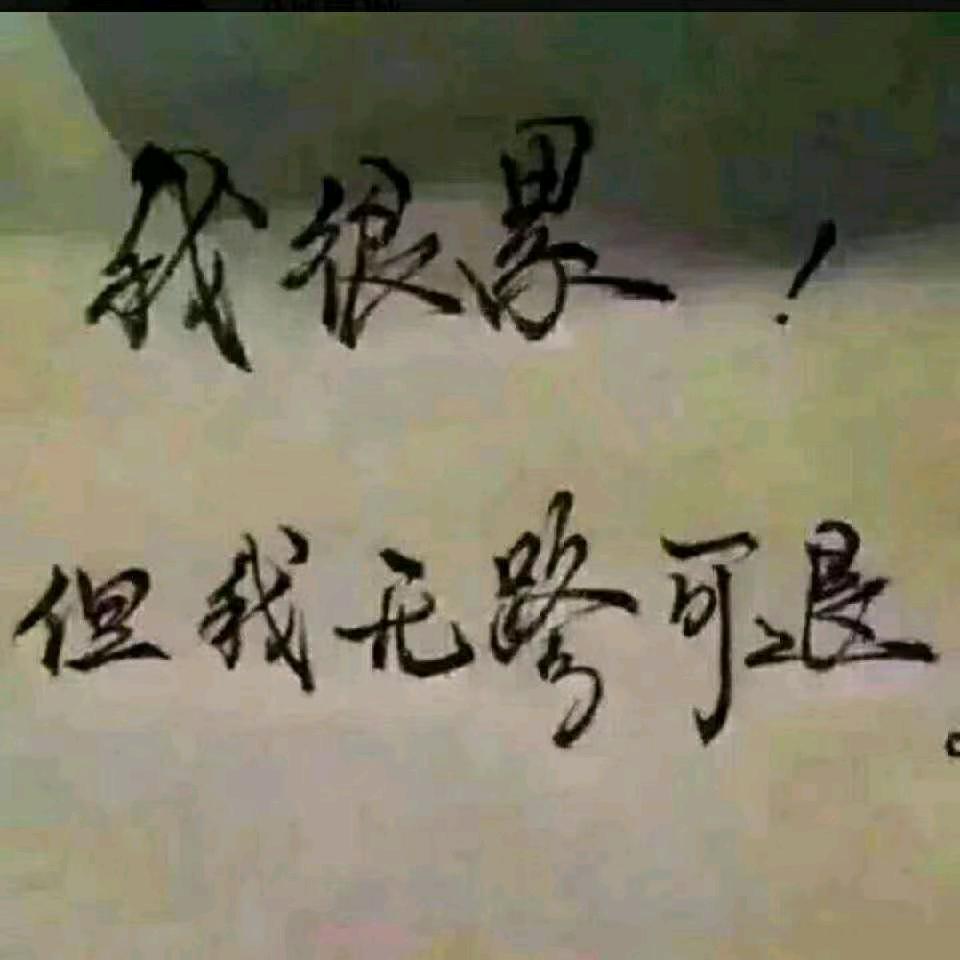 @(｡•́︿•̀｡)