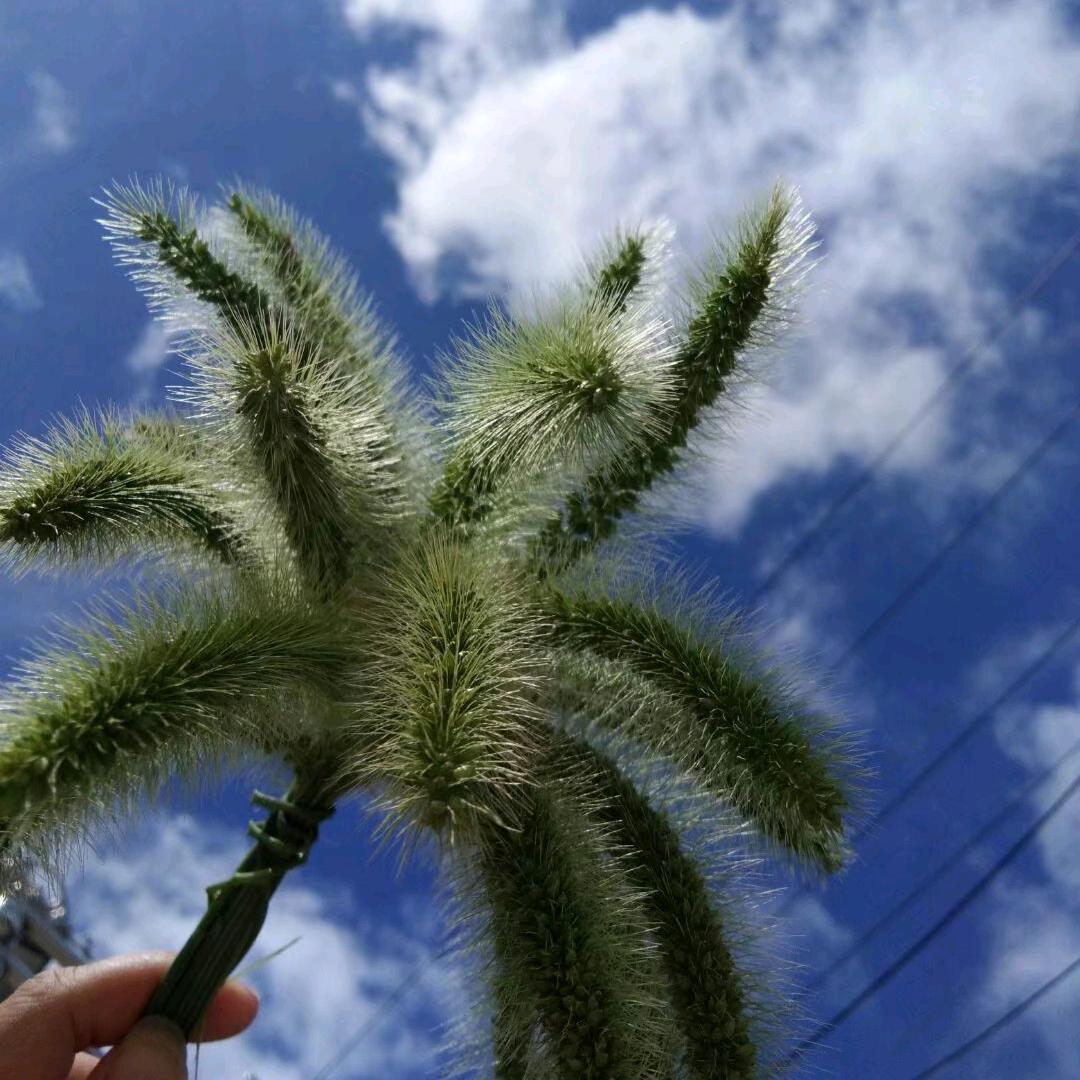 (*^ω^*)任性的女人