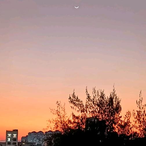 云☁️淡风轻