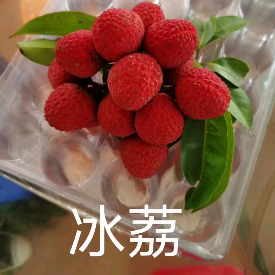 强达果苗