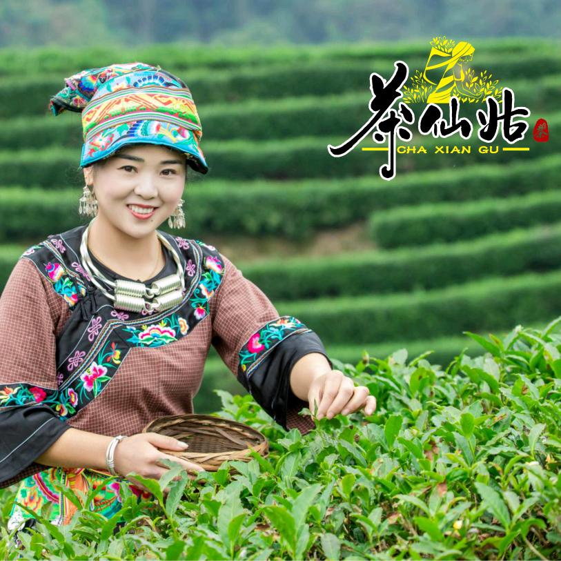 茶仙姑茶业《花姐》