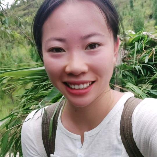 杨妹