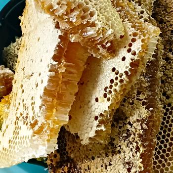 ꦿ往事᭄꧔ꦿ清零᭄ꦿꪟ