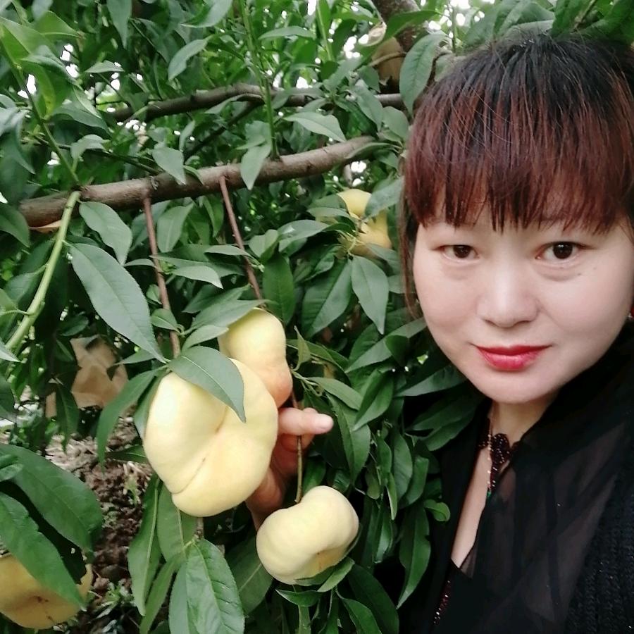 轻舞飞扬王女士